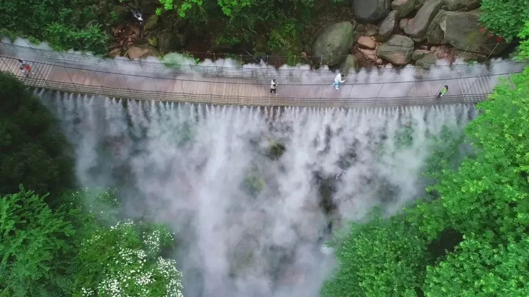 天台7