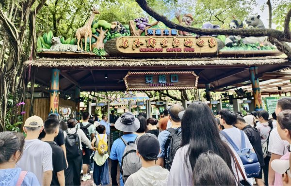 鸿运配资 探访全球首例大熊猫三胞胎，解锁11年 “萌” 动奇迹