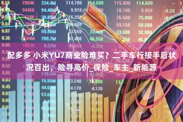 配多多 小米YU7商业险难买？二手车行接手后状况百出，险寻高价_保险_车主_新能源