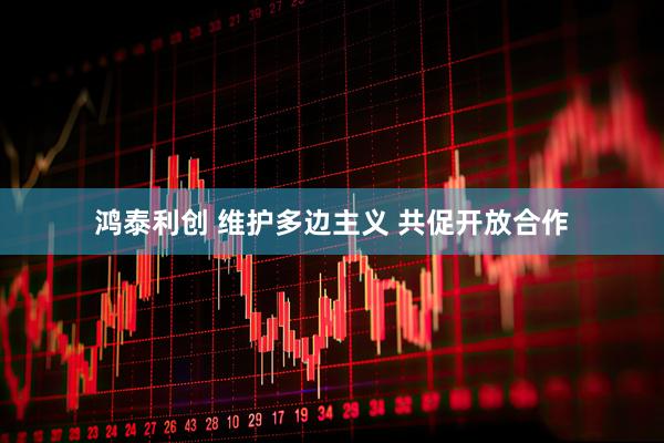 鸿泰利创 维护多边主义 共促开放合作