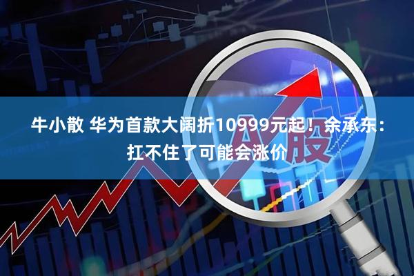 牛小散 华为首款大阔折10999元起！余承东：扛不住了可能会涨价